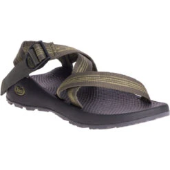 Chaco Men's Z/1 Classic Sandal -Outdoor Gear Sale CHAM J106549 041818 S19 045 557ab675 243b 4f37 9e77 77ac391e0192