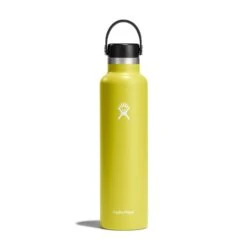 Hydro Flask 24 Oz Standard Mouth Water Bottle 33 Hydro Flask 24 Oz Standard Mouth Water Bottle -Outdoor Gear Sale s24fs752 cactus straighton